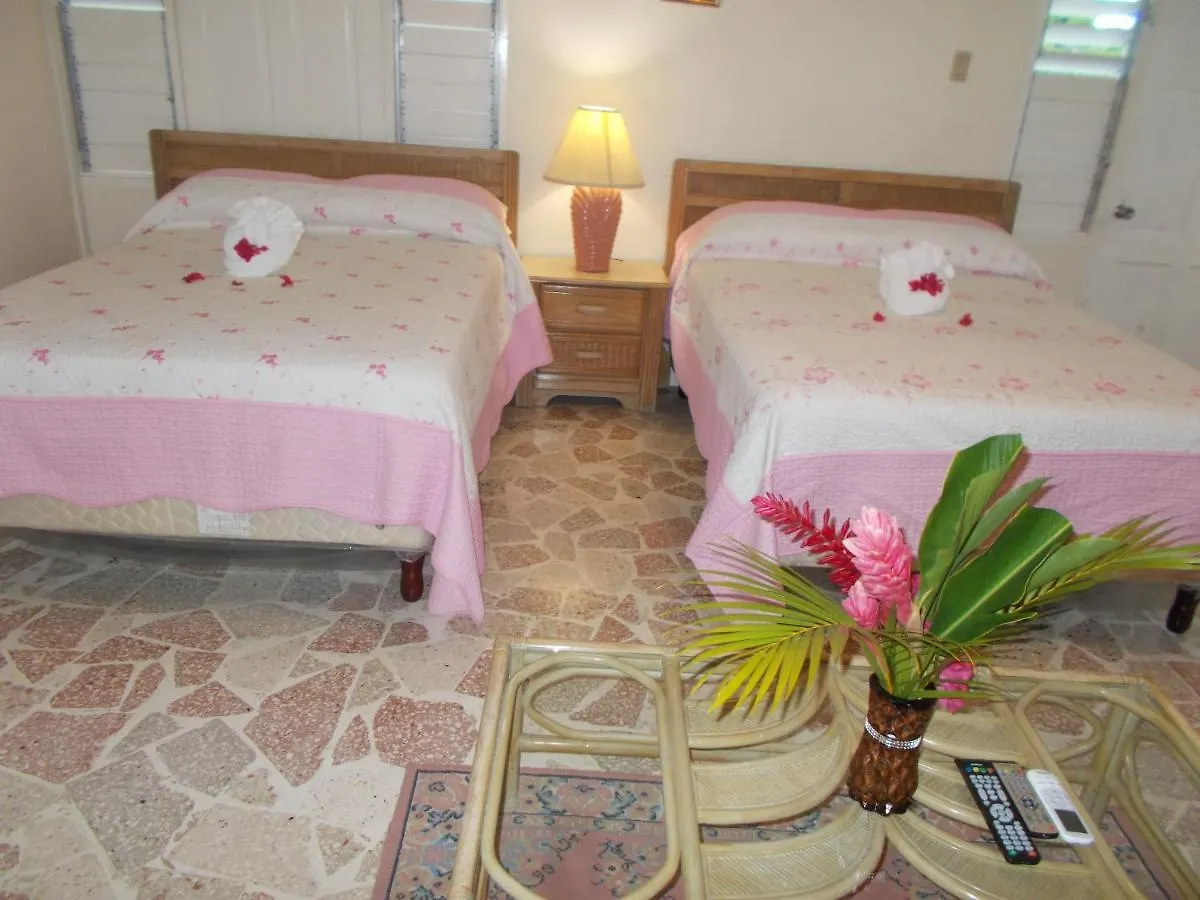Paradise Inn Port Antonio