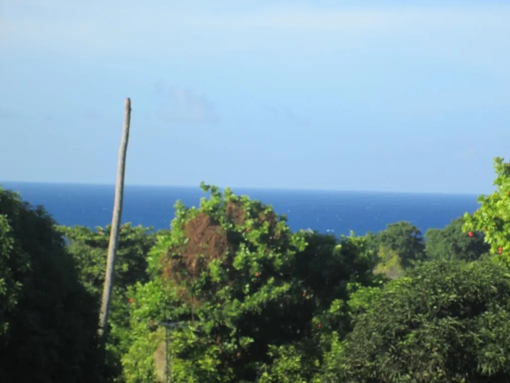 Paradise Inn Port Antonio 2*,