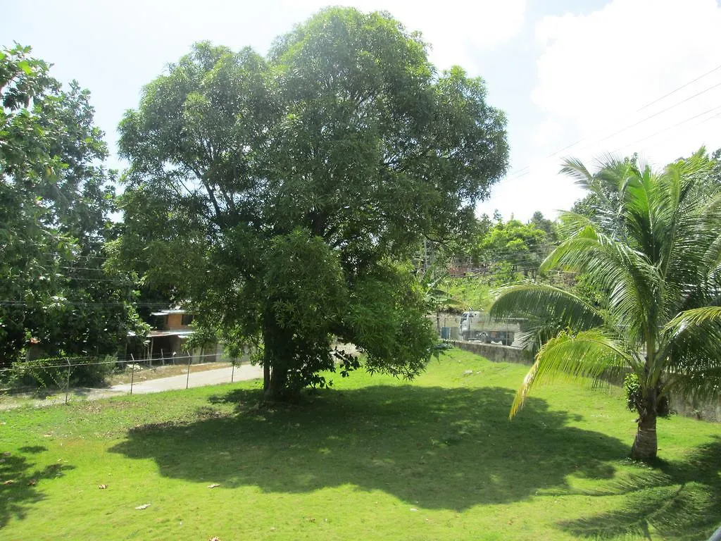 Paradise Inn Port Antonio