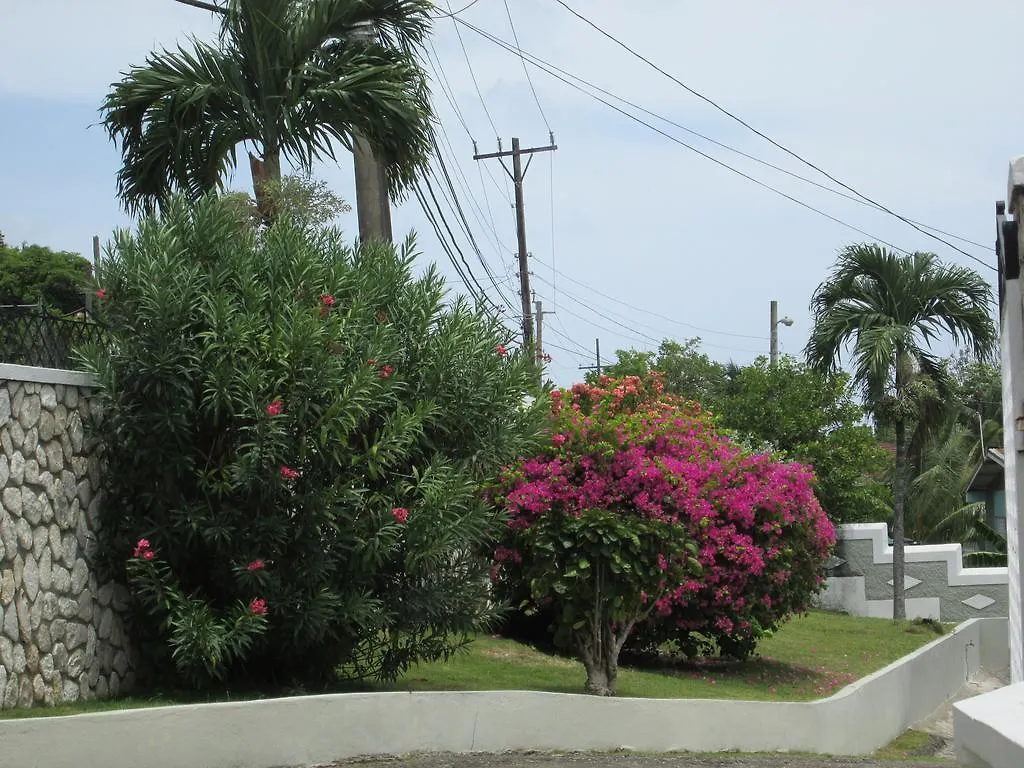 Paradise Inn Port Antonio