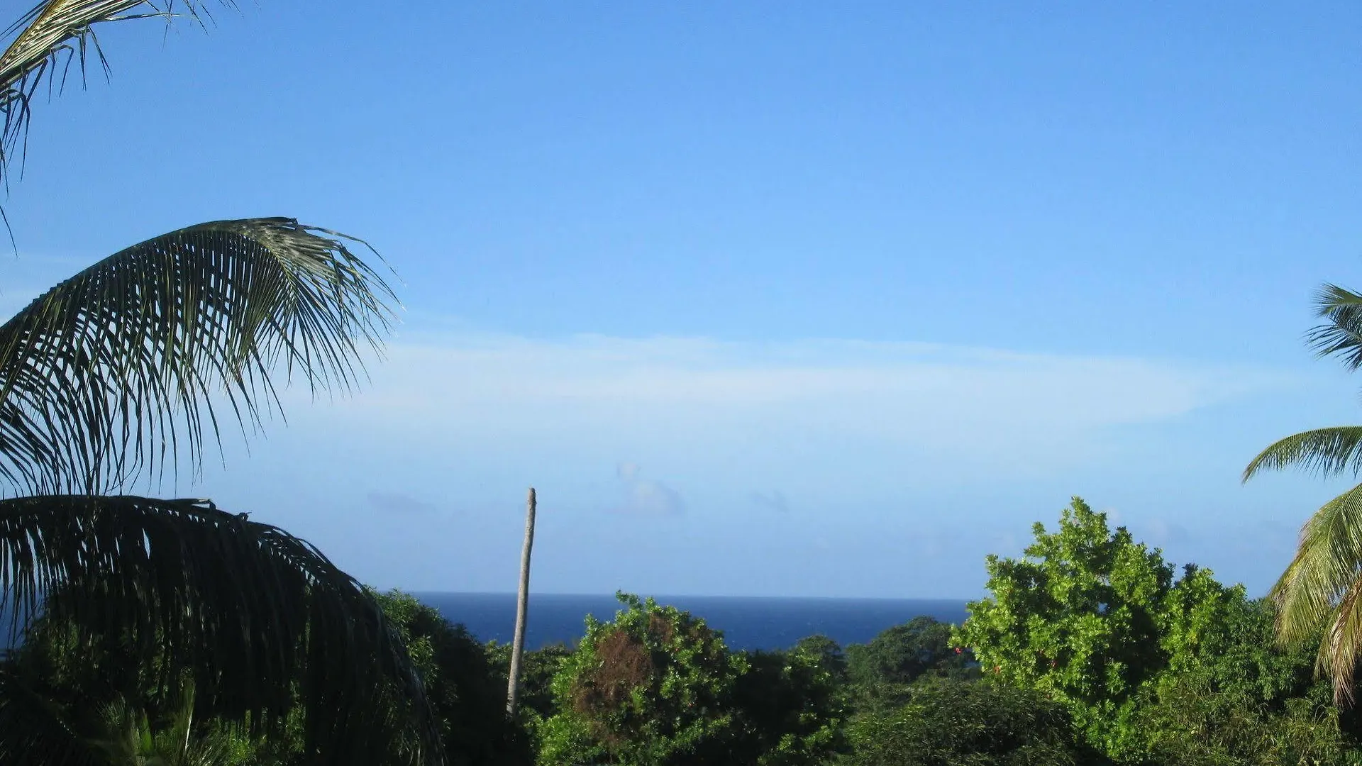 Paradise Inn Port Antonio