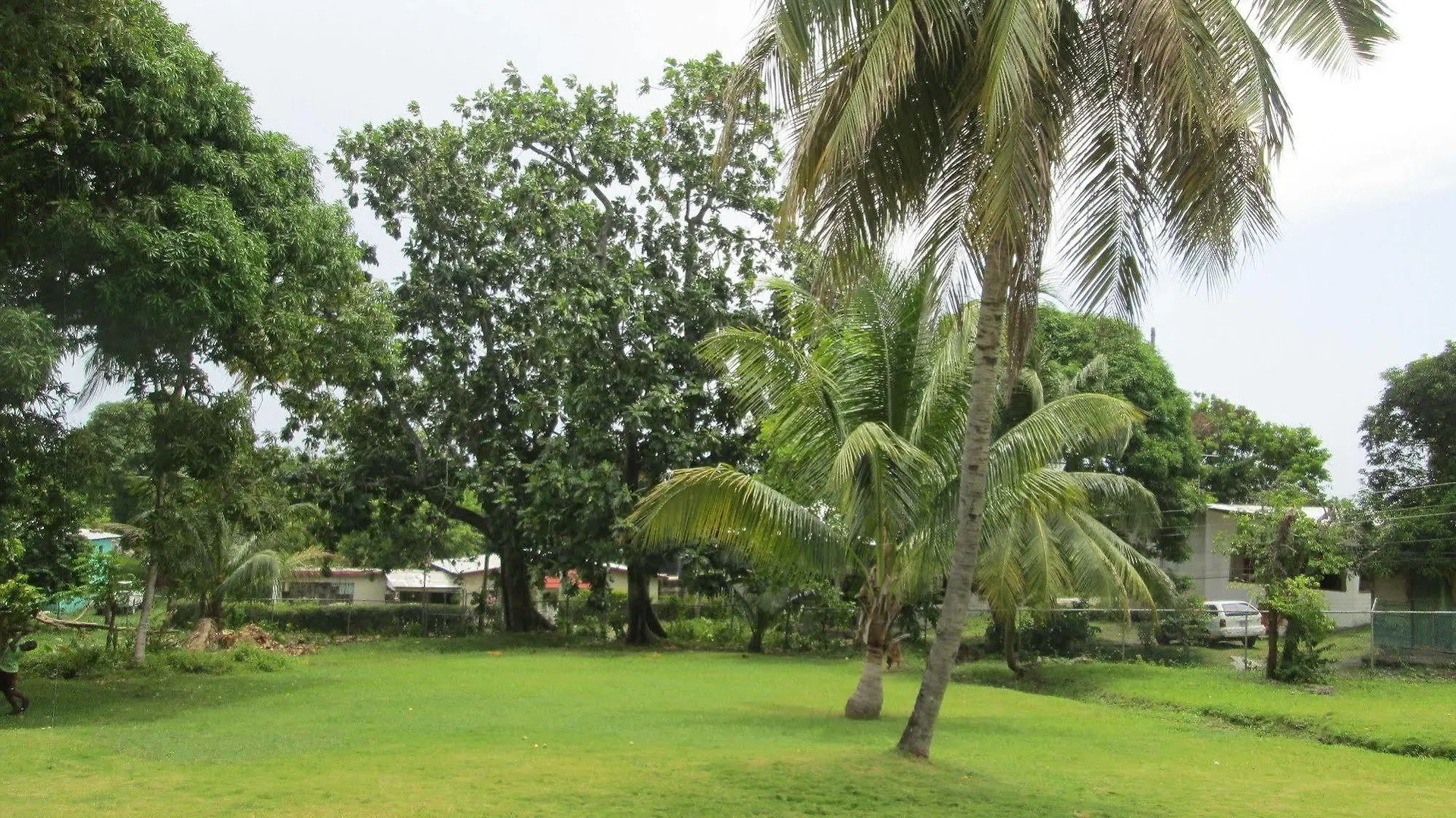 Paradise Inn Port Antonio