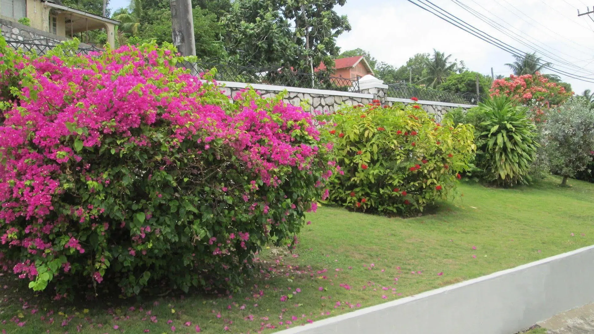 Paradise Inn Port Antonio Giamaica
